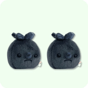 Forgotten Blueberry Plush 2PCS