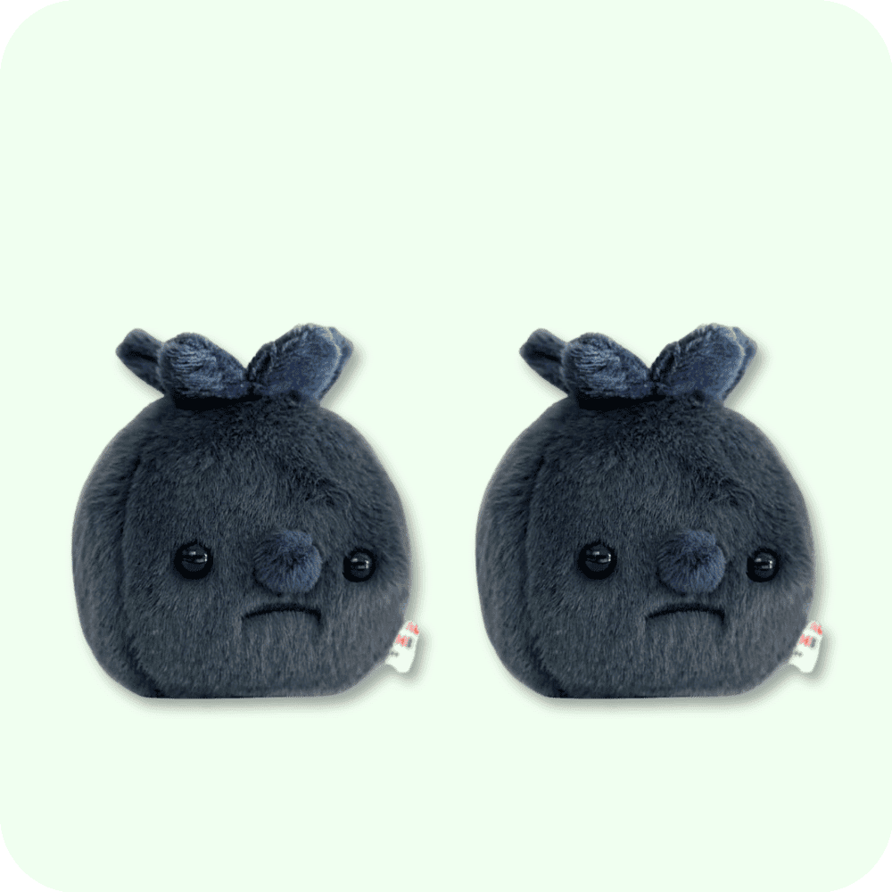 Forgotten Blueberry Plush 2PCS Forgotten Blueberry Plush 2PCS
