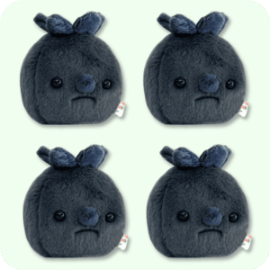 Forgotten Blueberry Plush 4PCS