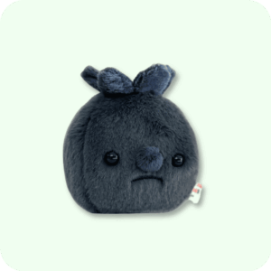 Forgotten Blueberry Plush